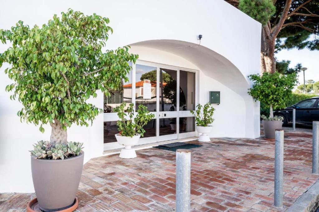 Vieira Apartment 1 クアルテイラ エクステリア 写真